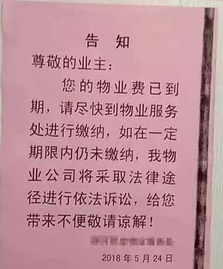 最新物業(yè)法下的小巷風(fēng)情小店探秘
