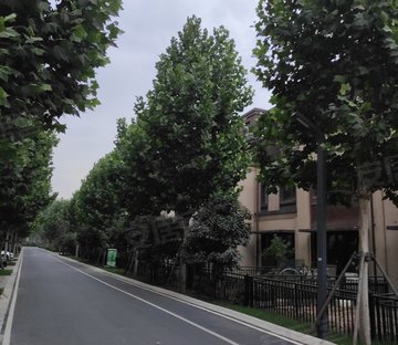 武陟房價最新,武陟房價最新