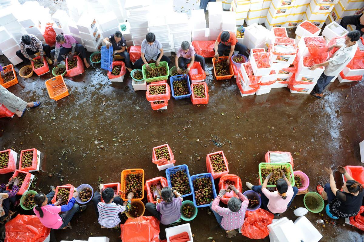 最新汽油漲價(jià)背后的笑中帶淚日常故事