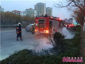 淄博最新司機(jī)招聘啟事公告