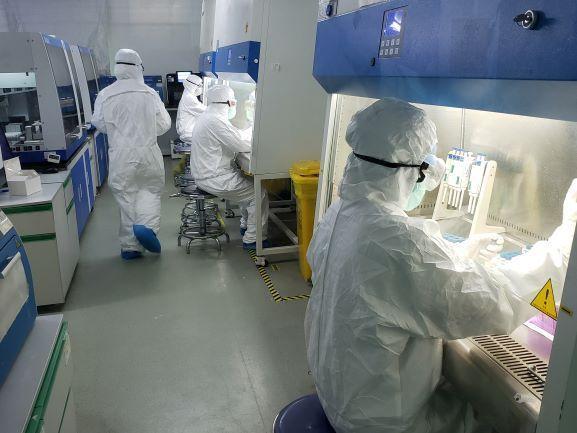 達安基因最新公告及觀點論述揭秘