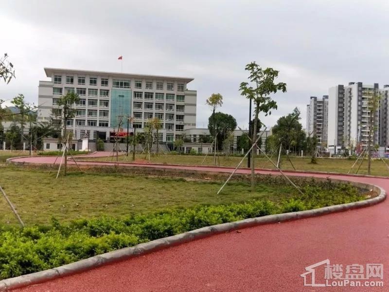 翁源龍仙最新房價解析及趨勢預測