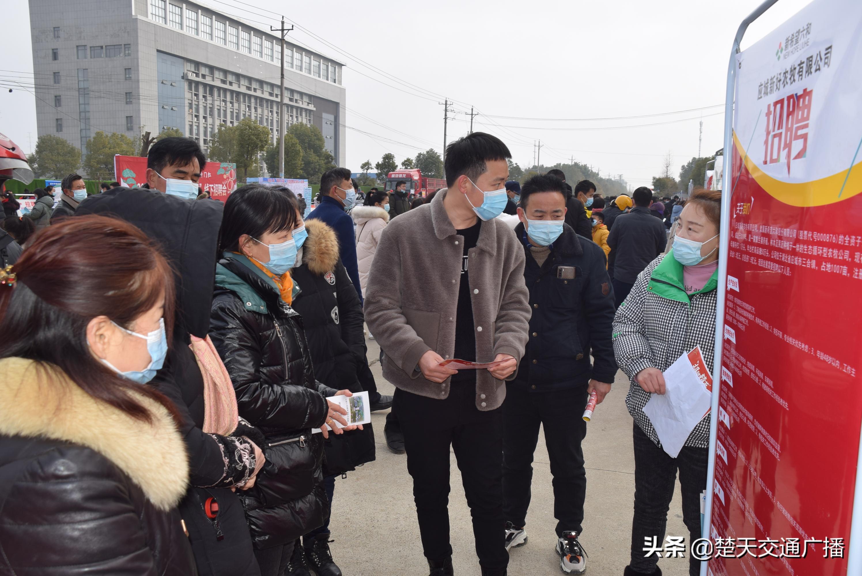 應城在線最新招聘信息匯總