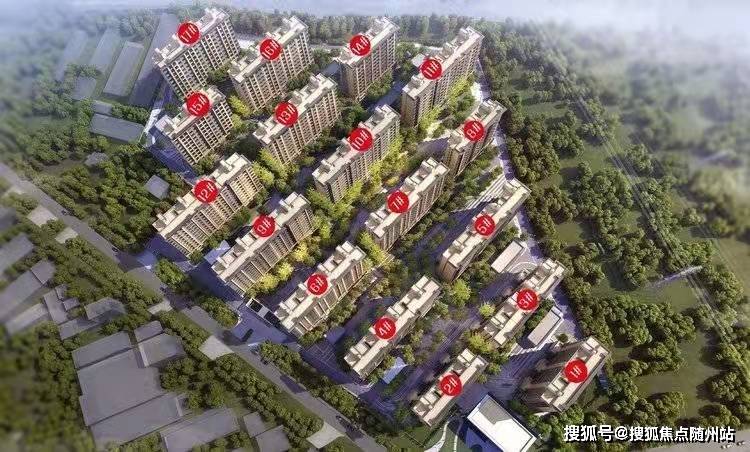 龍口泰爾斯的日常趣事與情感紐帶最新消息揭秘