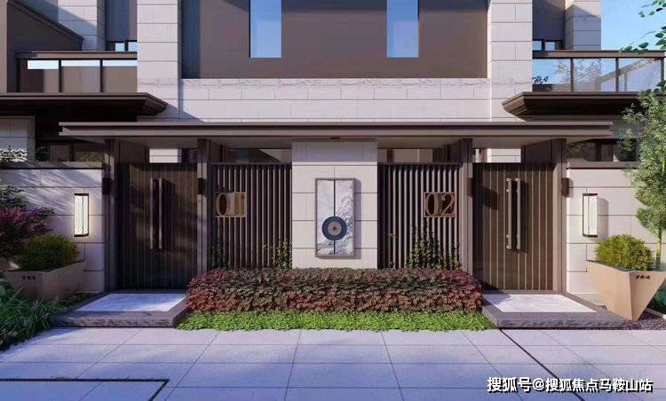 龍口泰爾斯的日常趣事與情感紐帶最新消息揭秘