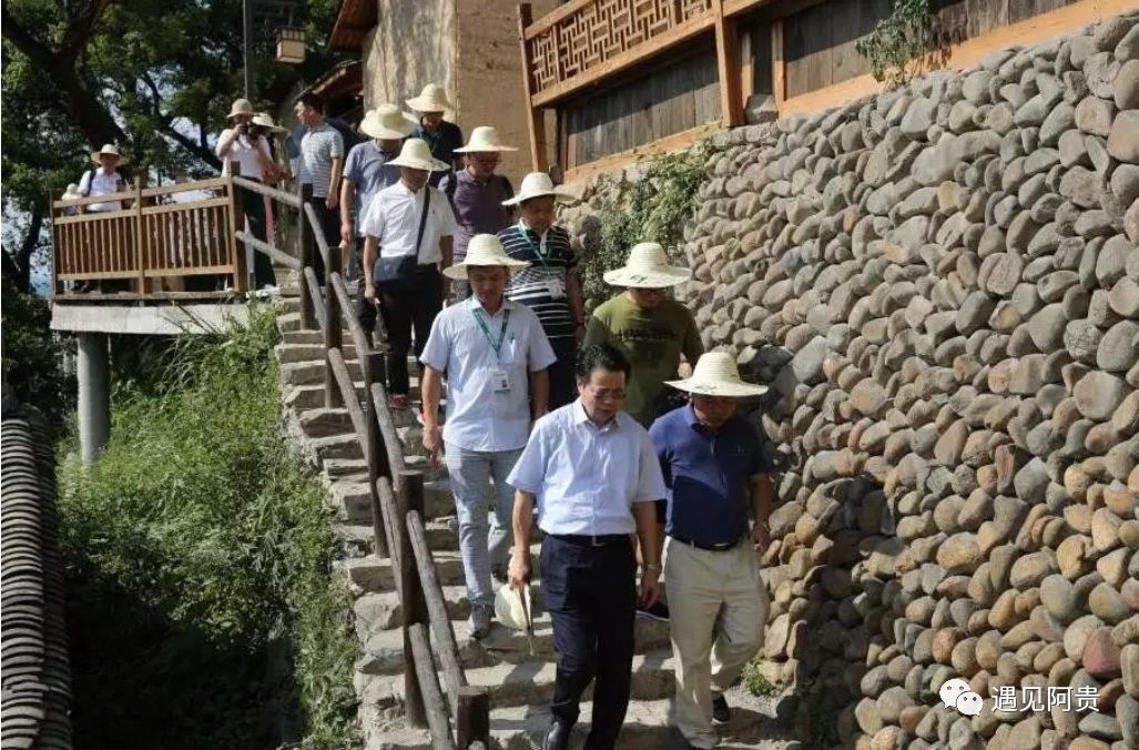 麗水葛學斌最新消息解讀與獲取指南