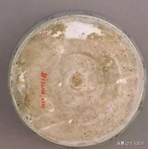 元青花鑒定最新方法揭秘