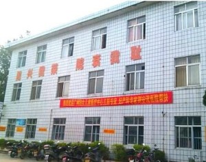 五華安流鎮(zhèn)最新新聞報(bào)道