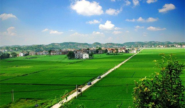 湖南農(nóng)村土地最新政策詳解與解析