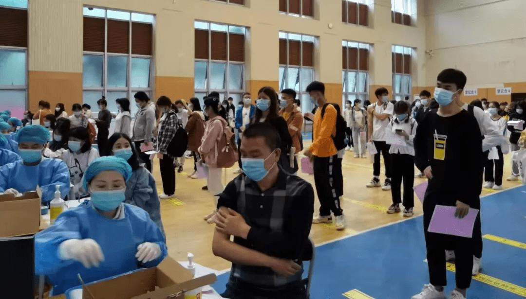 東嶺幸福家最新動態(tài)全面指南與步驟詳解