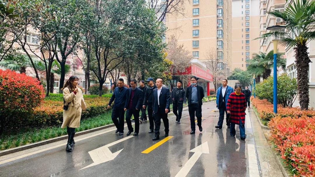 東嶺幸福家最新動態(tài)全面指南與步驟詳解