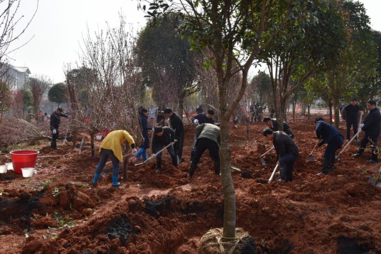 長沙市紀檢委最新動態(tài)更新概況