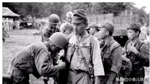 緬甸傳染病最新動(dòng)態(tài)及自然療愈之旅探索