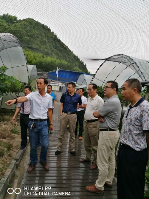 屏南陳道珍最新動(dòng)態(tài)更新??