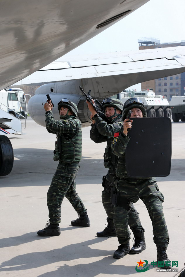 獵鷹突擊隊(duì)最新動(dòng)態(tài)與技能學(xué)習(xí)步驟指南