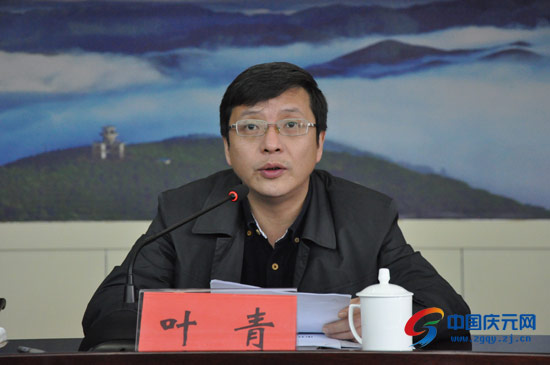 慶元縣長葉青最新任職及其多維度影響分析