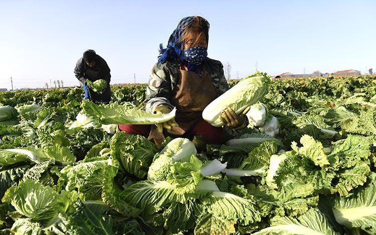 河北玉田最新樓房價(jià)格,河北玉田最新樓房價(jià)格指南