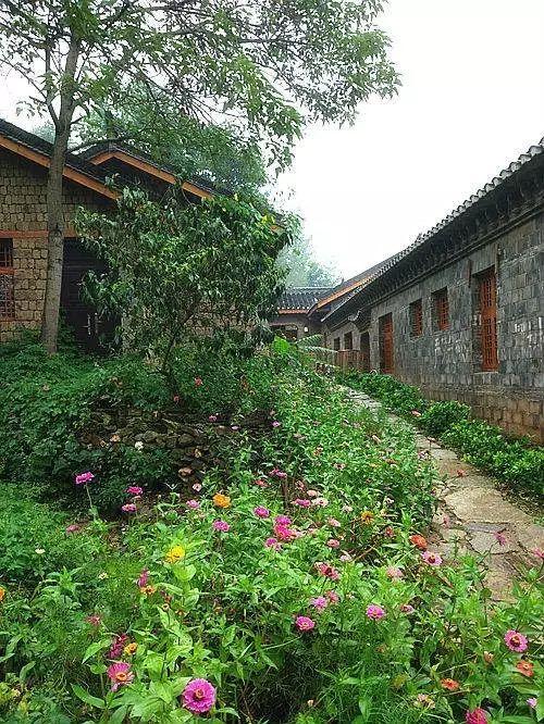 湖北省大悟縣最新動(dòng)態(tài)更新摘要