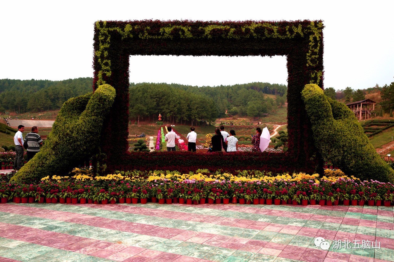 麻城市五腦山事故最新進展及小巷深處的隱藏瑰寶