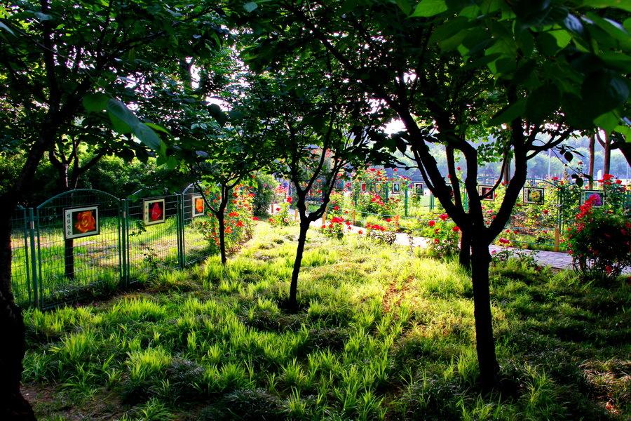 鄭州最新游玩攻略