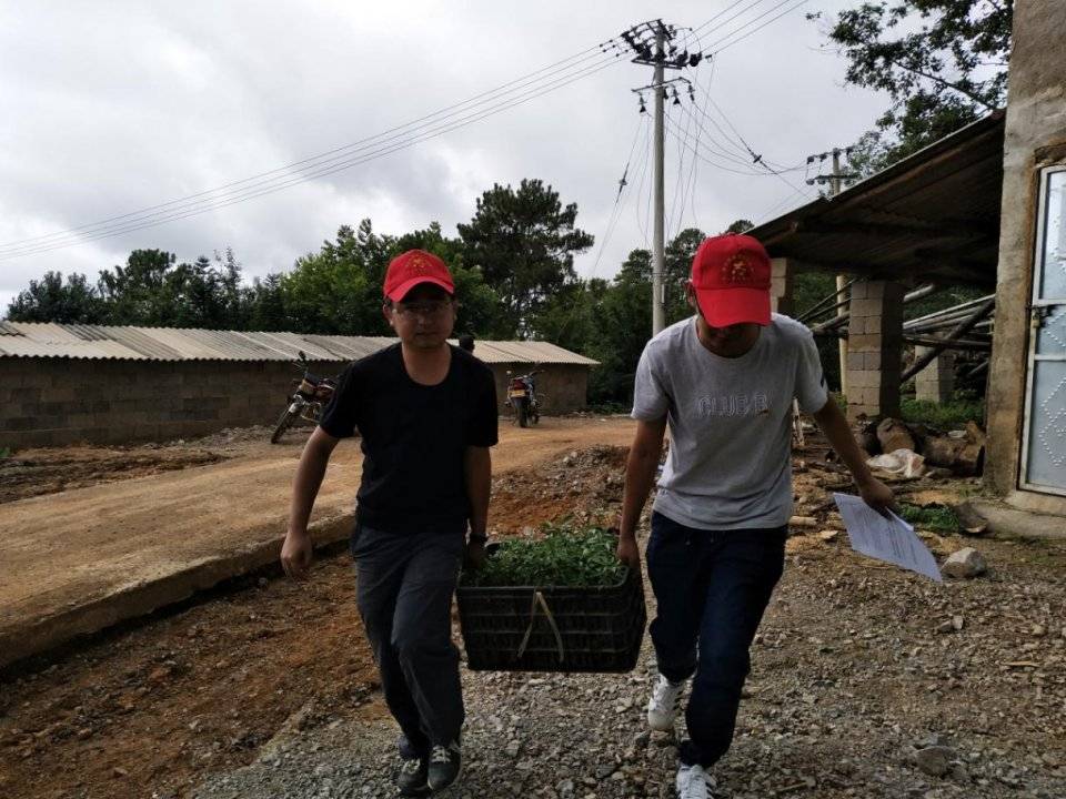 施甸縣最新疫情動(dòng)態(tài)更新??