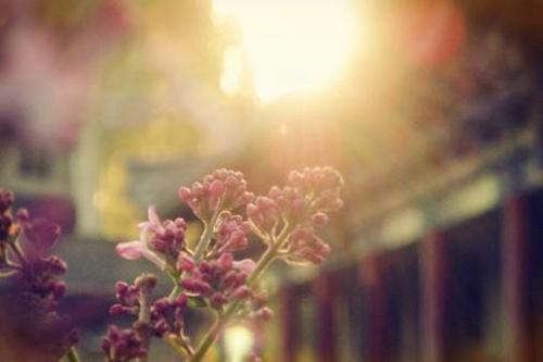 時代繁榮與變遷下的人間最新安風(fēng)采