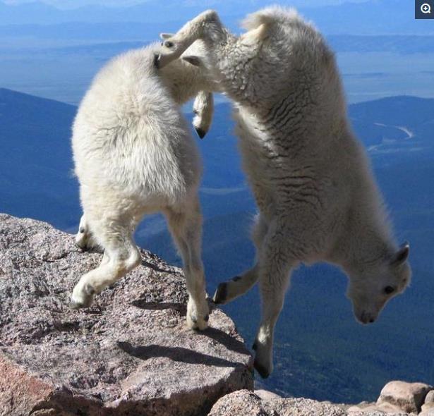 行走大師最新科技重塑行走體驗,煥新生活光彩