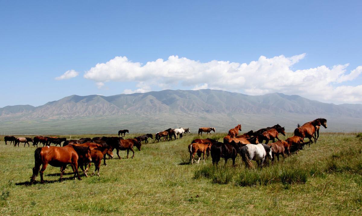 帝國行最新引領科技潮流重塑生活體驗體驗報告