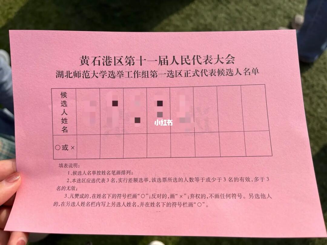 最新選票結(jié)果及其深度分析