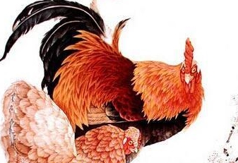 老雞友引領(lǐng)高科技重塑生活體驗(yàn)的時(shí)代風(fēng)潮