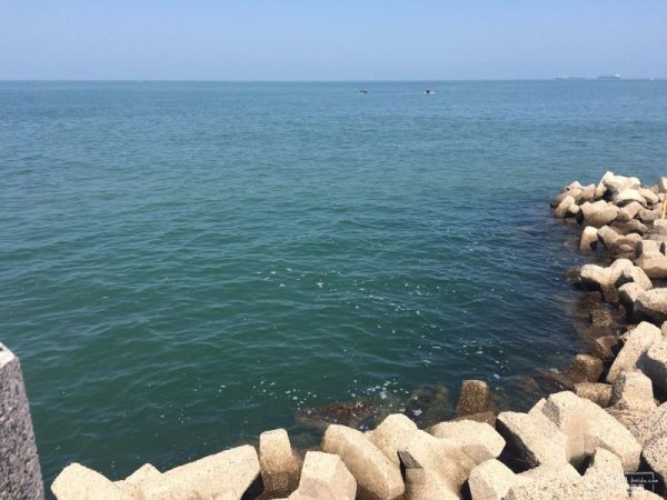 揭秘長(zhǎng)島最新價(jià)格動(dòng)態(tài)！