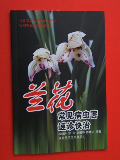 最新蘭花品種與種植步驟指南