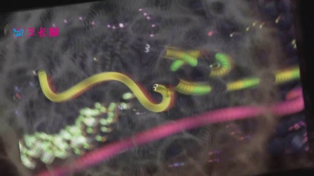 最新大蛇王技能學(xué)習(xí)與實踐指南