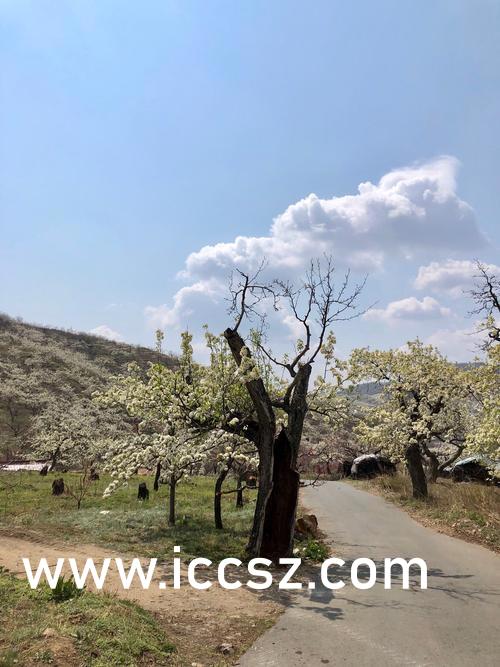 久久伊人最新動態(tài)更新