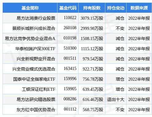 易方達(dá)最新凈值深度解析及投資者關(guān)注焦點(diǎn)