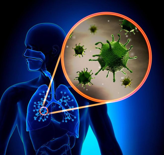 最新案例病毒深度解析與應(yīng)對(duì)策略