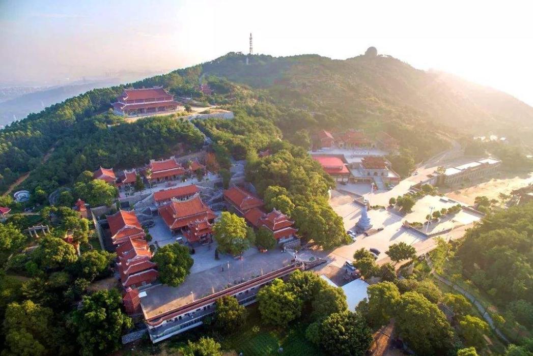 晉江最新疫情下的暖心日常