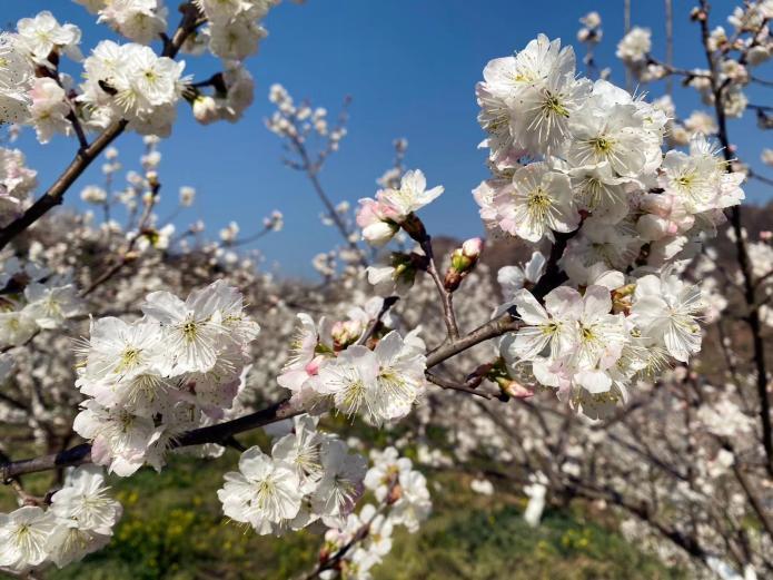 貴州最新疫情通報(bào)及應(yīng)對(duì)步驟指南