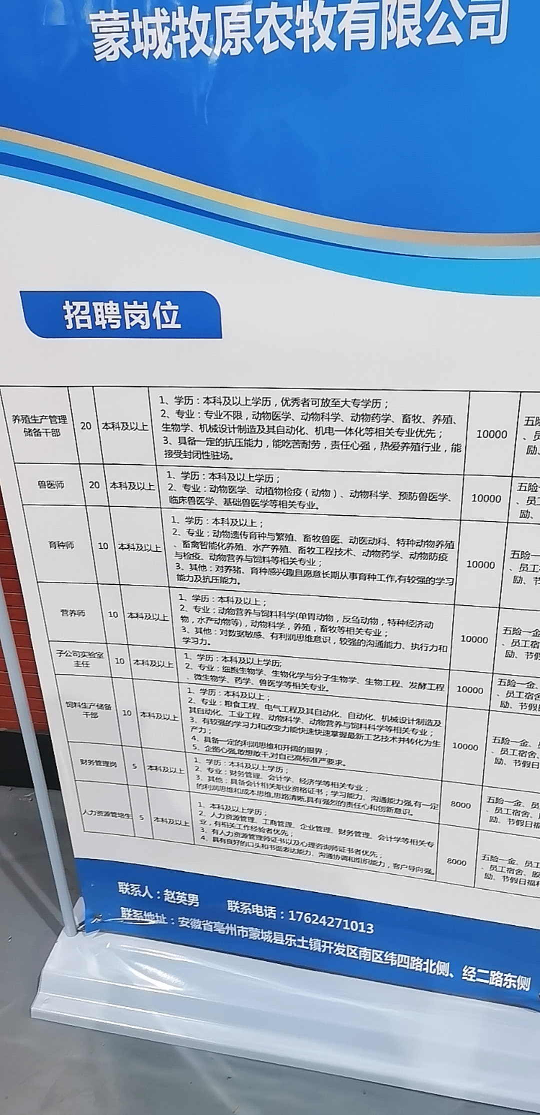 蒙城最新招聘趨勢與觀點(diǎn)論述