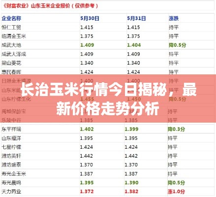 玉米走勢最新分析與心靈與自然的美景之旅探索