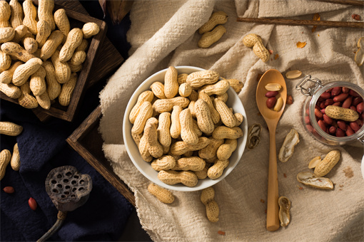 最新花生價格行情及小巷中的秘密美食之旅