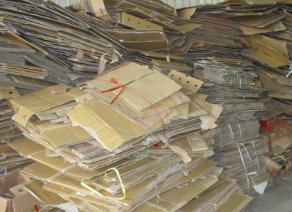 廢紙價格最新動態(tài)與小巷深處的寶藏小店探秘