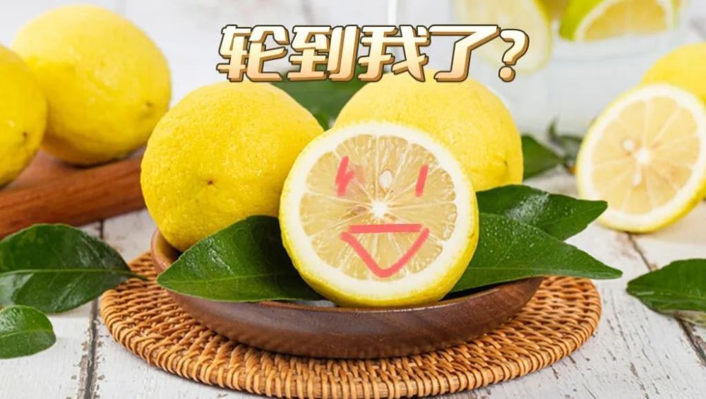 檸檬價格最新行情深度解析