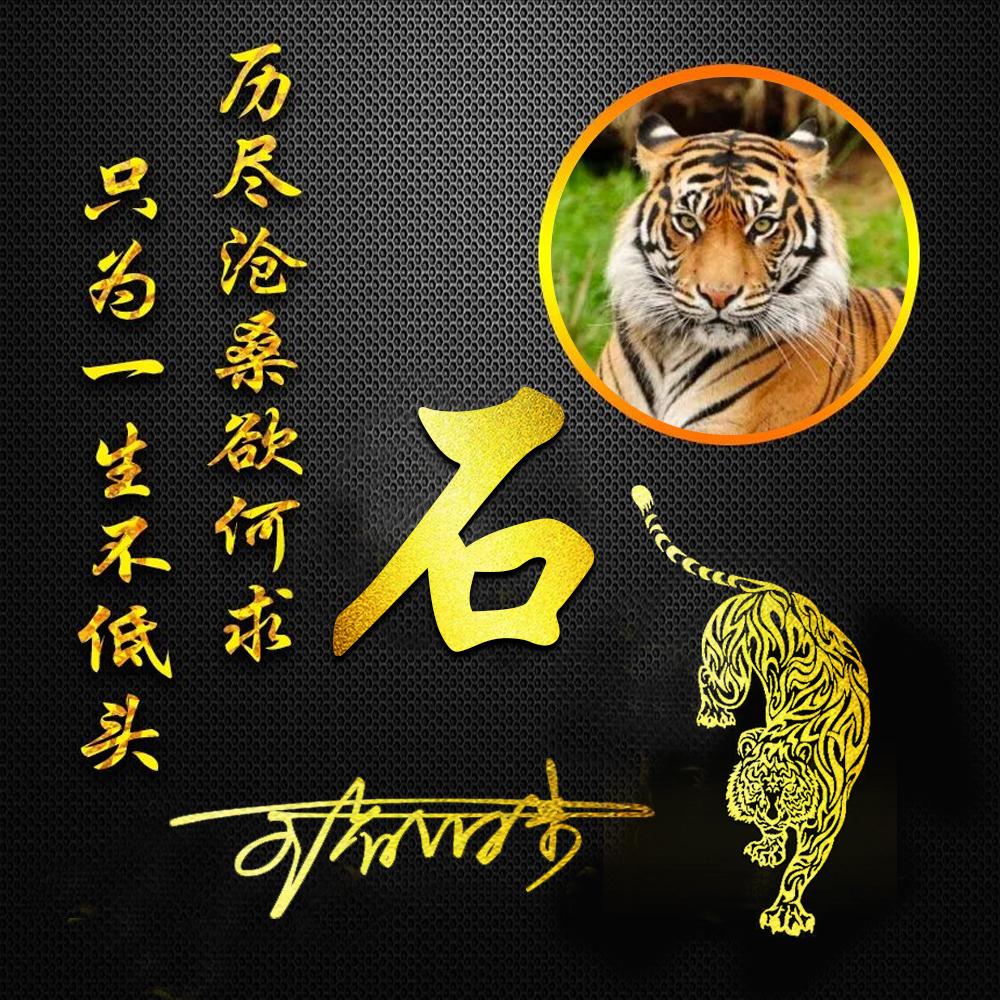 微信最新版功能更新與用戶體驗深度探討