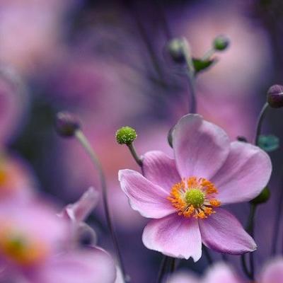 微信最新版功能更新與用戶體驗深度探討