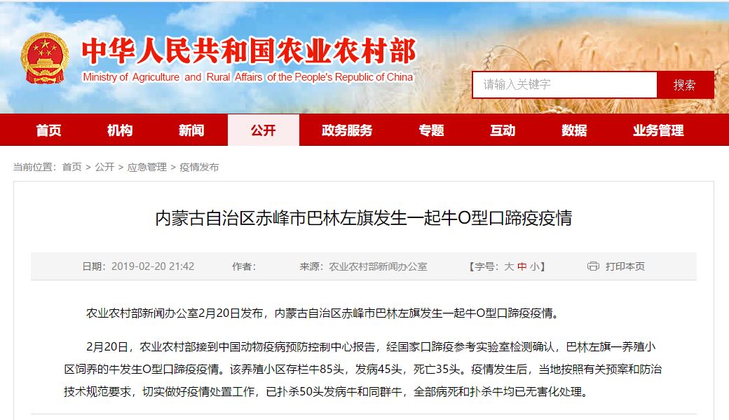 赤峰疫情最新動態(tài)與大自然寧靜之美的探索呼喚