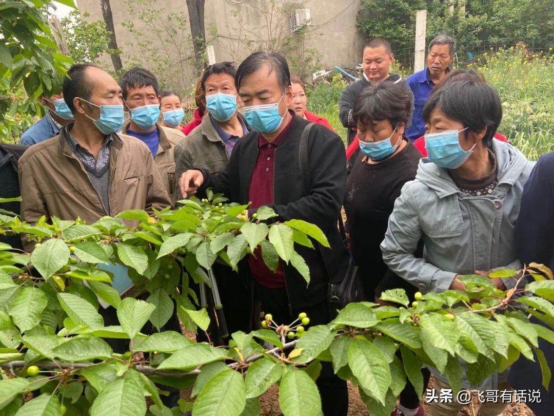 孟津麻屯最新招聘信息發(fā)布！求職者的福音?