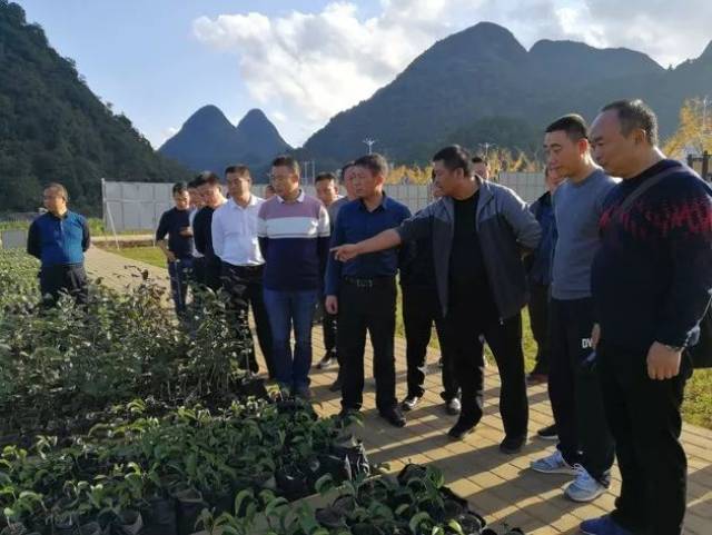 貴州興仁縣最新資訊更新