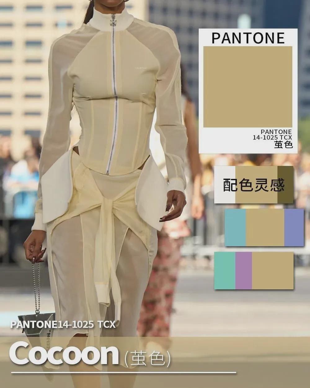 2025最新版大色窩,彩色日常與真摯友情的交織