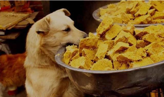 西安600路公交車最新線路指南及線路更新通知